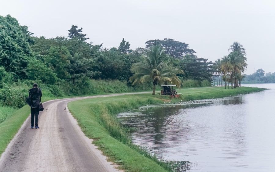 IITA Ibadan